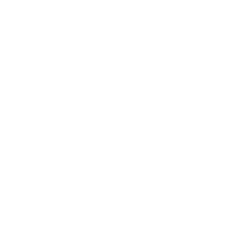 whisk icon